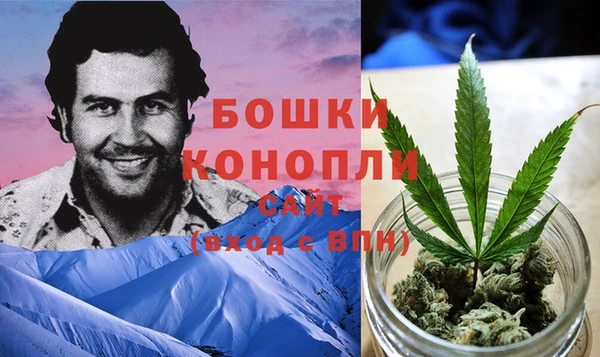 хмурый Касимов
