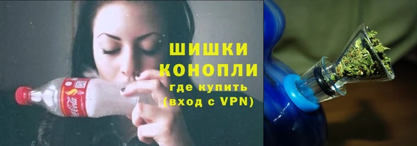 дживик Кинешма