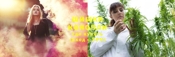 шишки Вуктыл